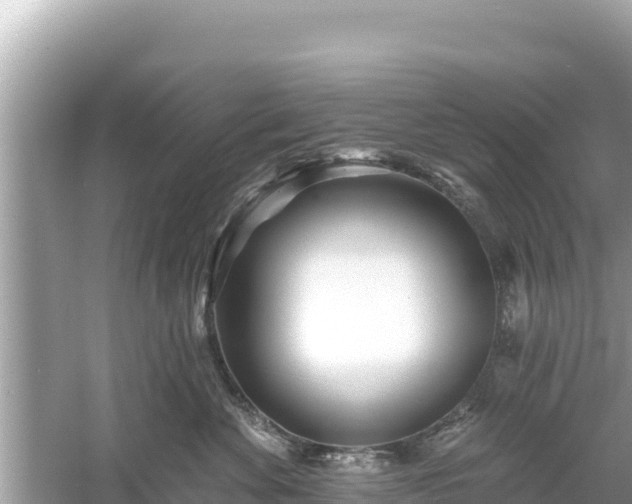 X0000061730524200512050937