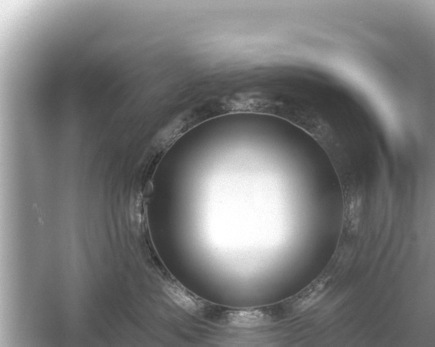 X0000061730525200512050937