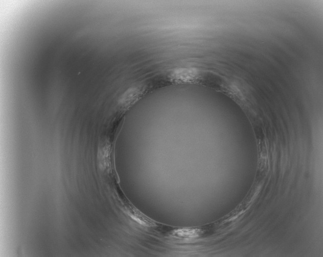 X0000061730526200512050937