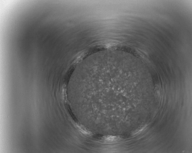 X0000061730527200512050937