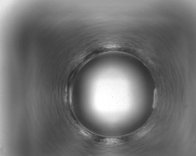 X0000061730528200512050937