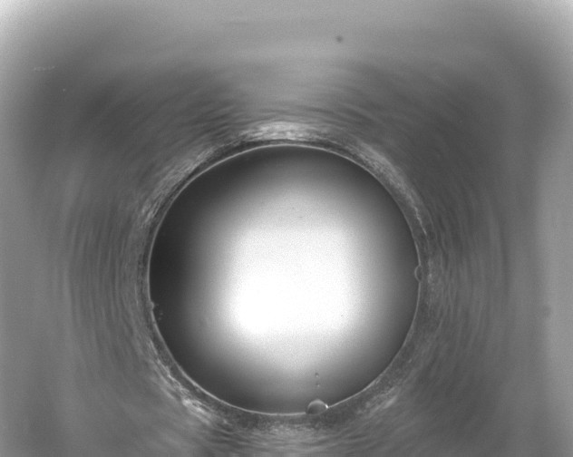 X0000061730529200512050936