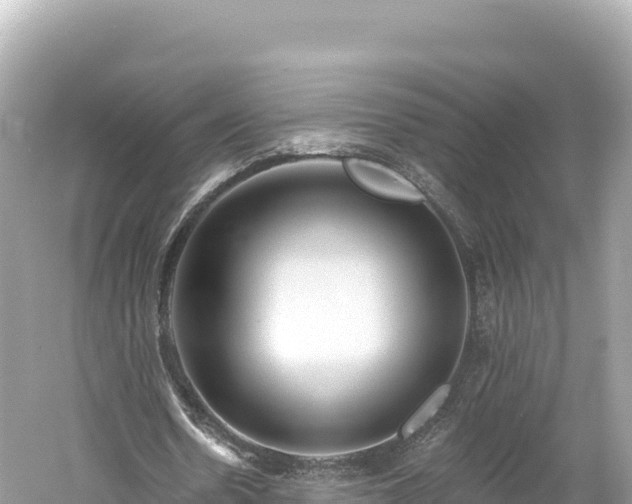 X0000061730530200512050936