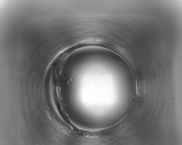 X0000061730531200512050936