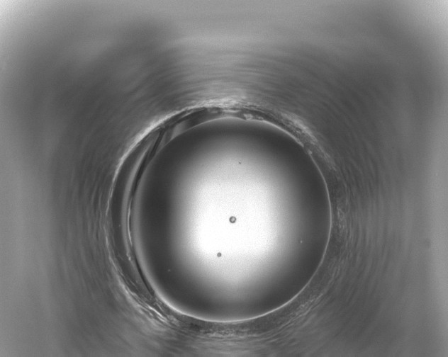 X0000061730532200512050936