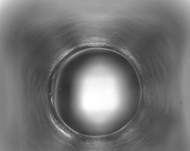 X0000061730533200512050936