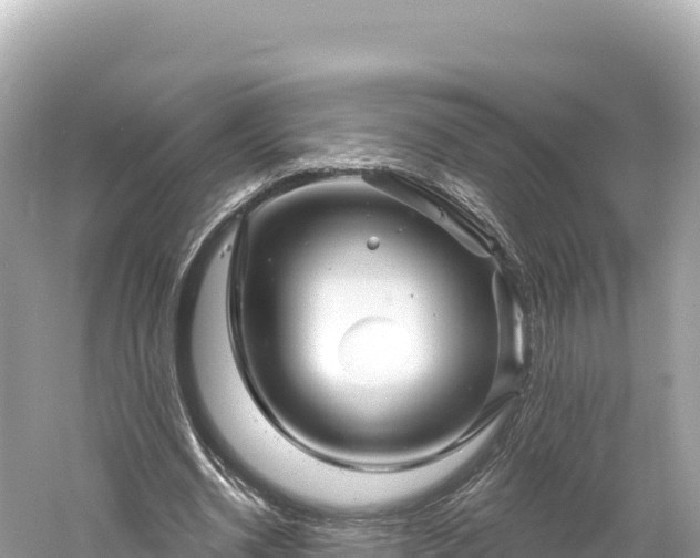 X0000061730534200512050936