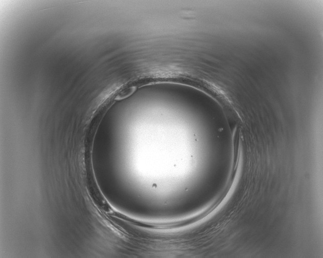 X0000061730535200512050936