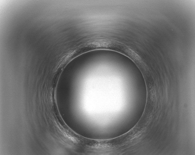 X0000061730537200512050936