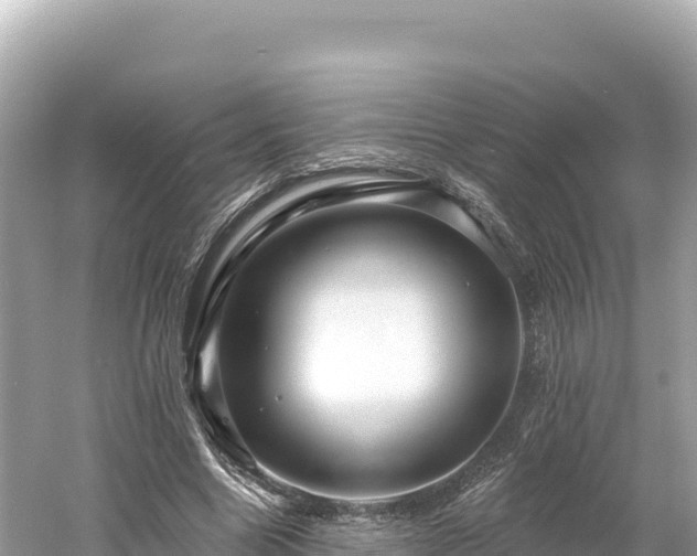 X0000061730538200512050936