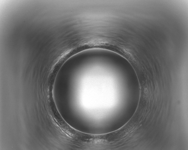 X0000061730539200512050936