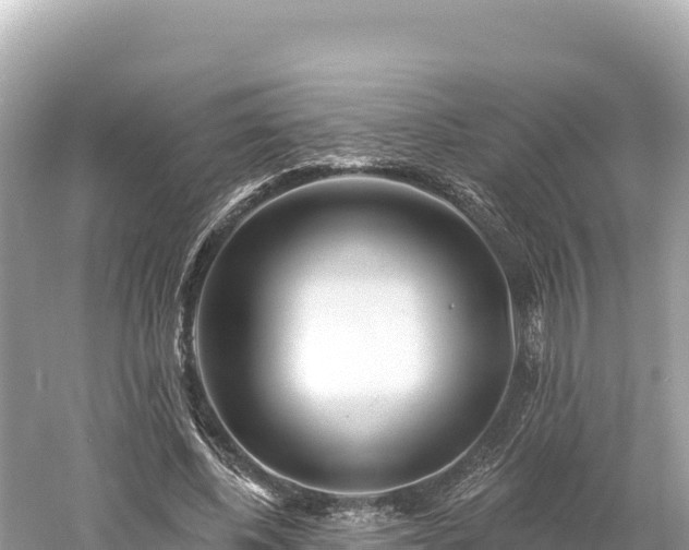 X0000061730540200512050936