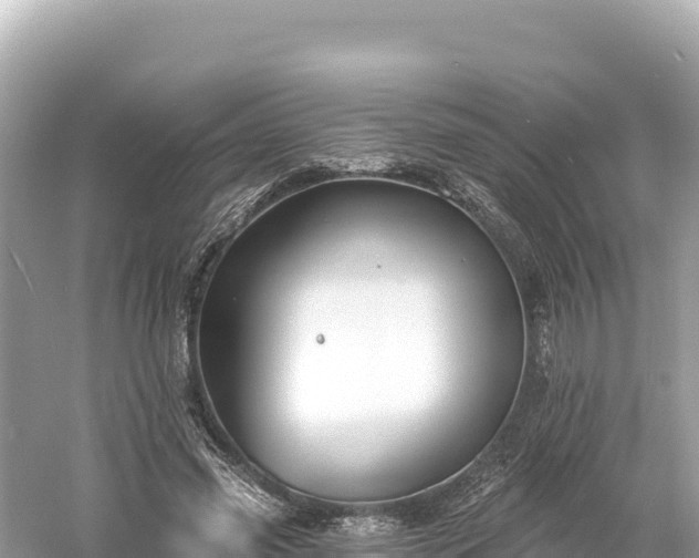 X0000061730541200512050936