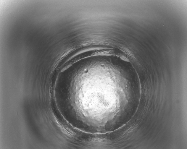 X0000061730542200512050936