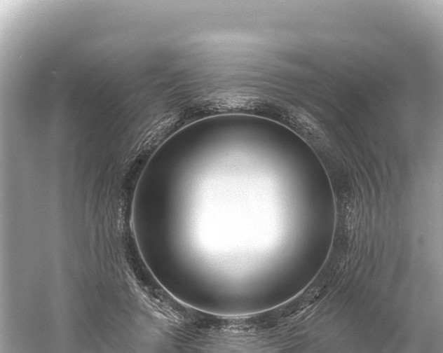 X0000061730546200512050936