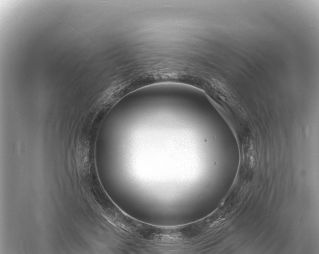 X0000061730548200512050936