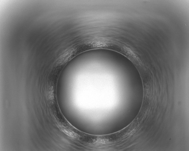 X0000061730549200512050936