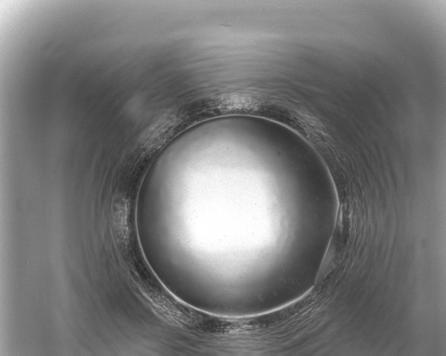 X0000061730550200512050936