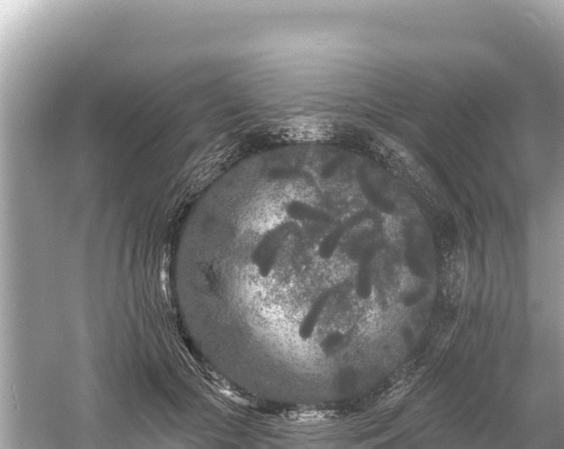 X0000061730553200512050936