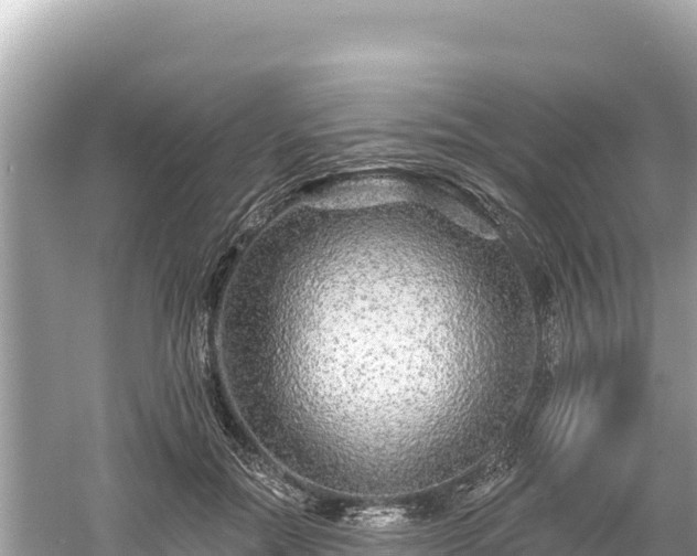 X0000061730554200512050936