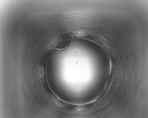 X0000061730555200512050936