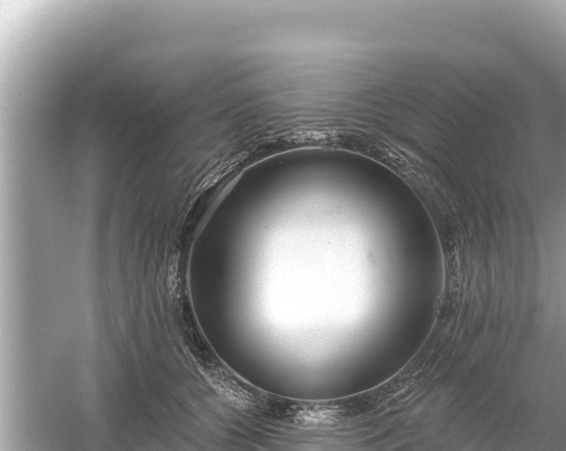 X0000061730560200512050936