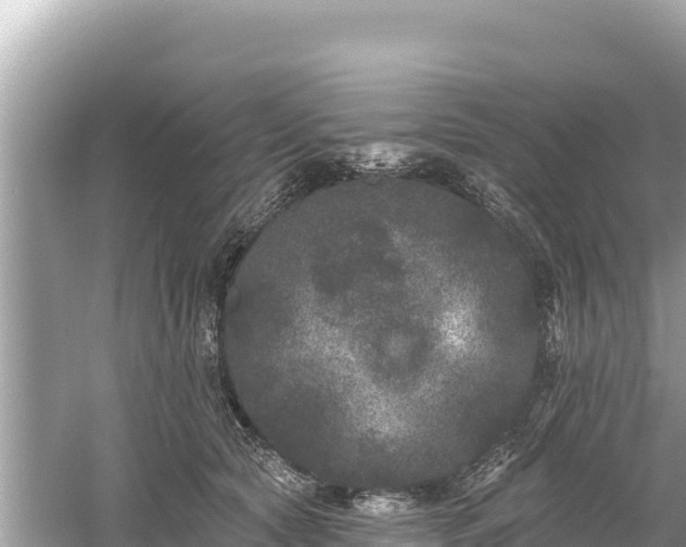 X0000061730561200512050936