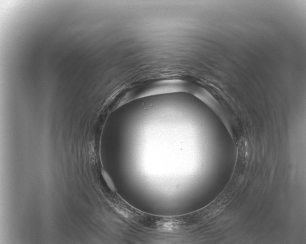 X0000061730564200512050936