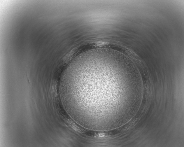 X0000061730565200512050936