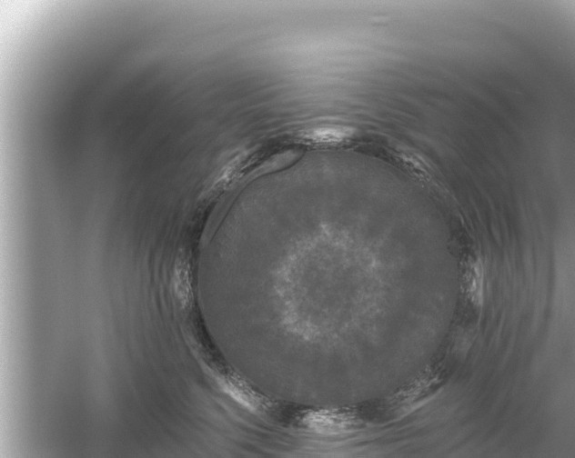 X0000061730568200512050937