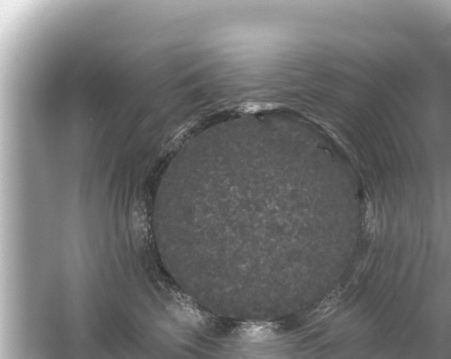 X0000061730569200512050937