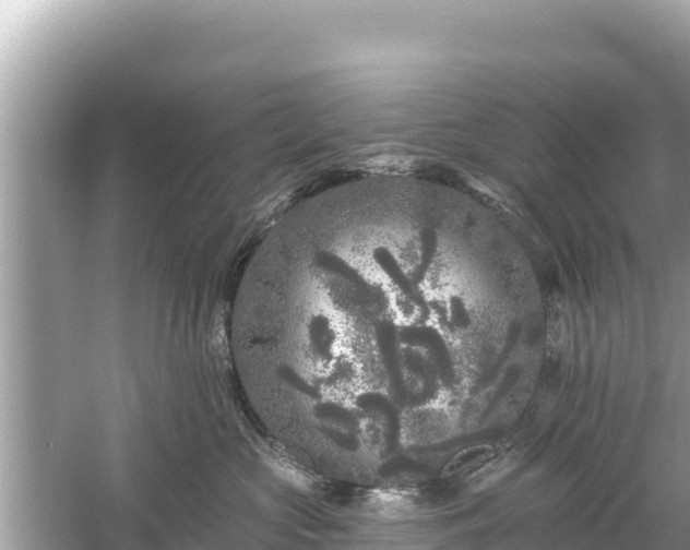 X0000061730573200512050937