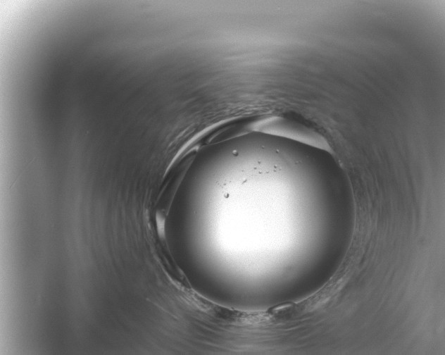 X0000061730576200512050937