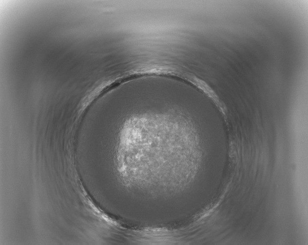 X0000061730577200512050936