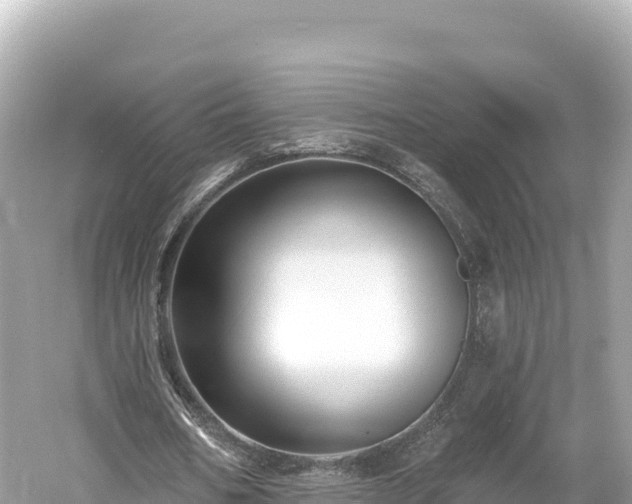 X0000061730578200512050936