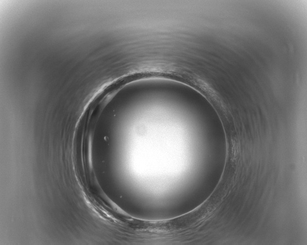 X0000061730580200512050936