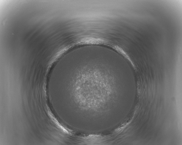 X0000061730581200512050936