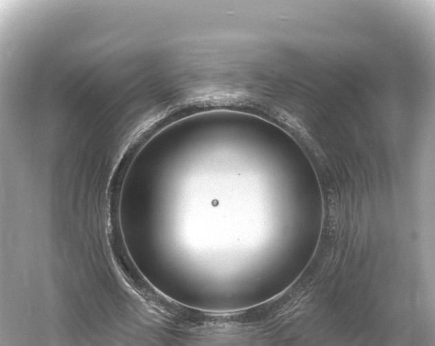 X0000061730582200512050936