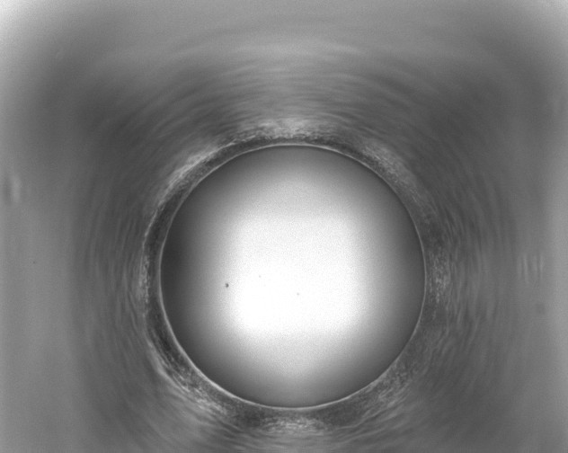 X0000061730583200512050936