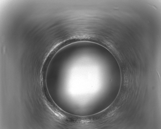 X0000061730584200512050936