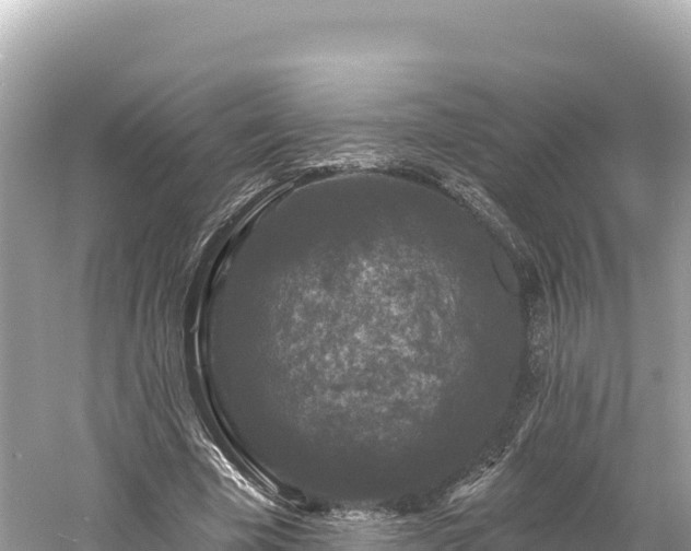 X0000061730585200512050936