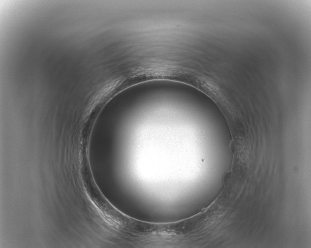 X0000061730586200512050936