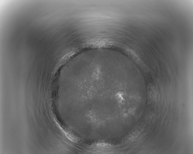 X0000061730590200512050936