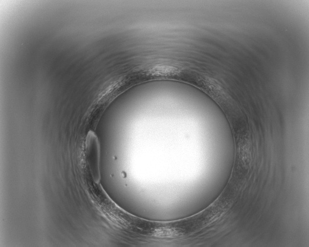 X0000061730591200512050936