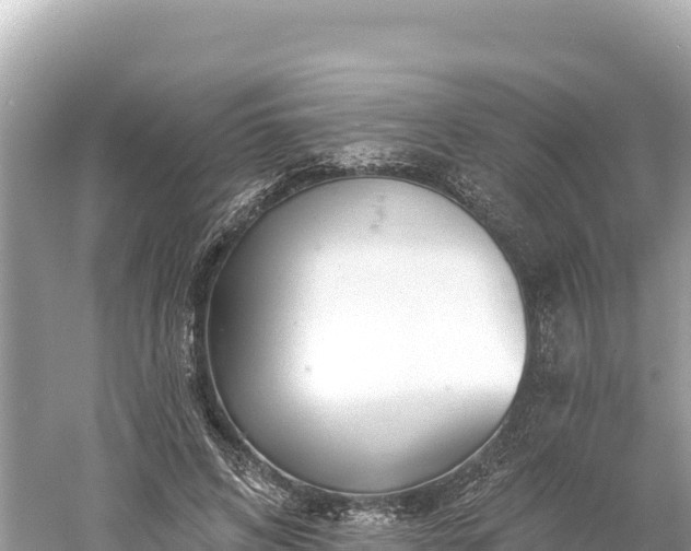 X0000061730592200512050936