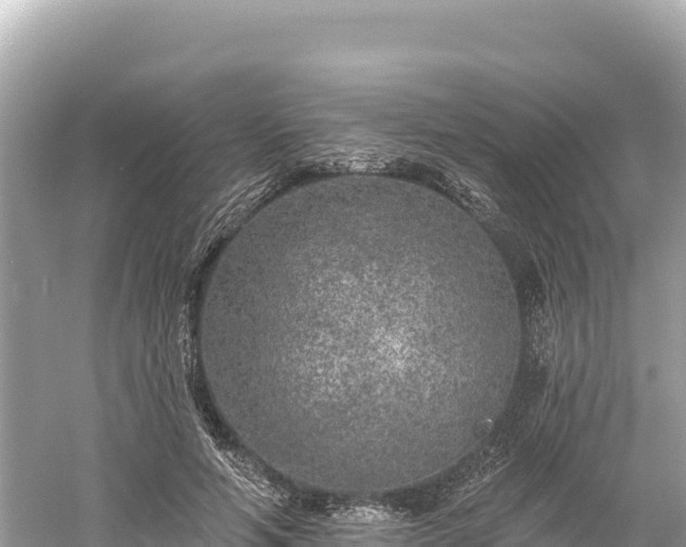 X0000061730594200512050936