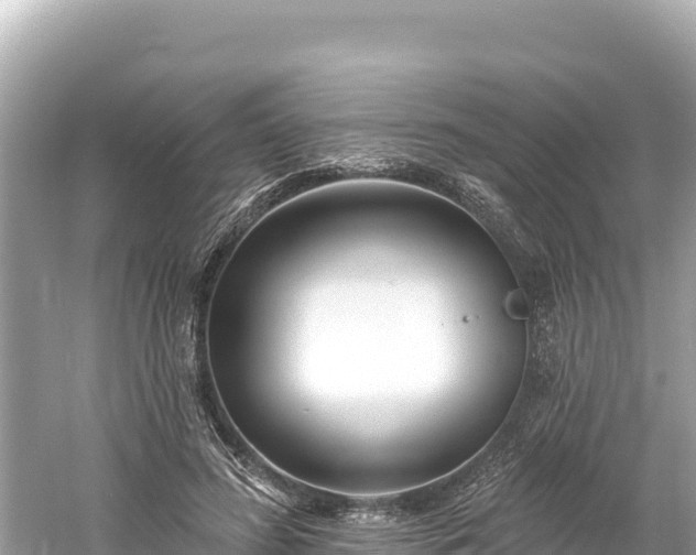 X0000061730596200512050936