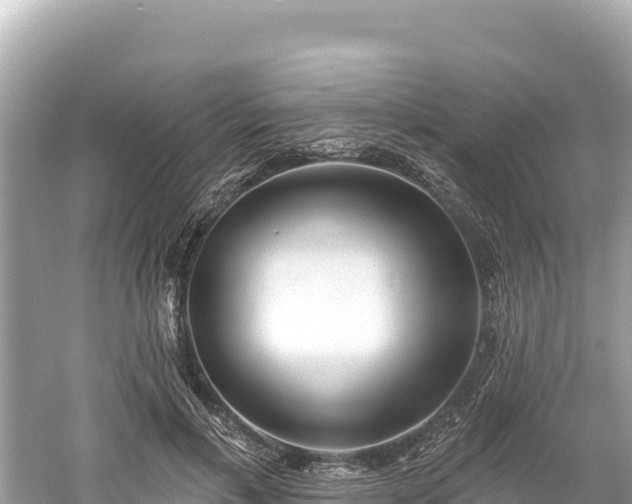 X0000061730597200512050935