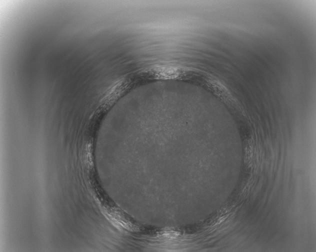 X0000061730598200512050935