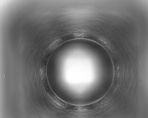 X0000061730601200512050935